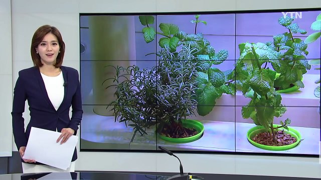 첨단 농업 한눈에...진주 국제 농식품박람회 개막 / YTN (Yes! Top News)