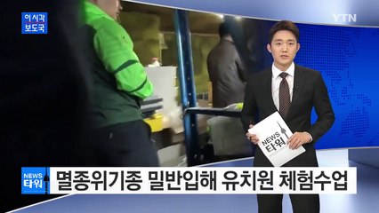 멸종위기종 밀반입해 유치원 체험수업 / YTN (Yes! Top News)