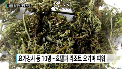 호텔 오가며 마약 파티...유학생·연예인 대거 적발 / YTN (Yes! Top News)