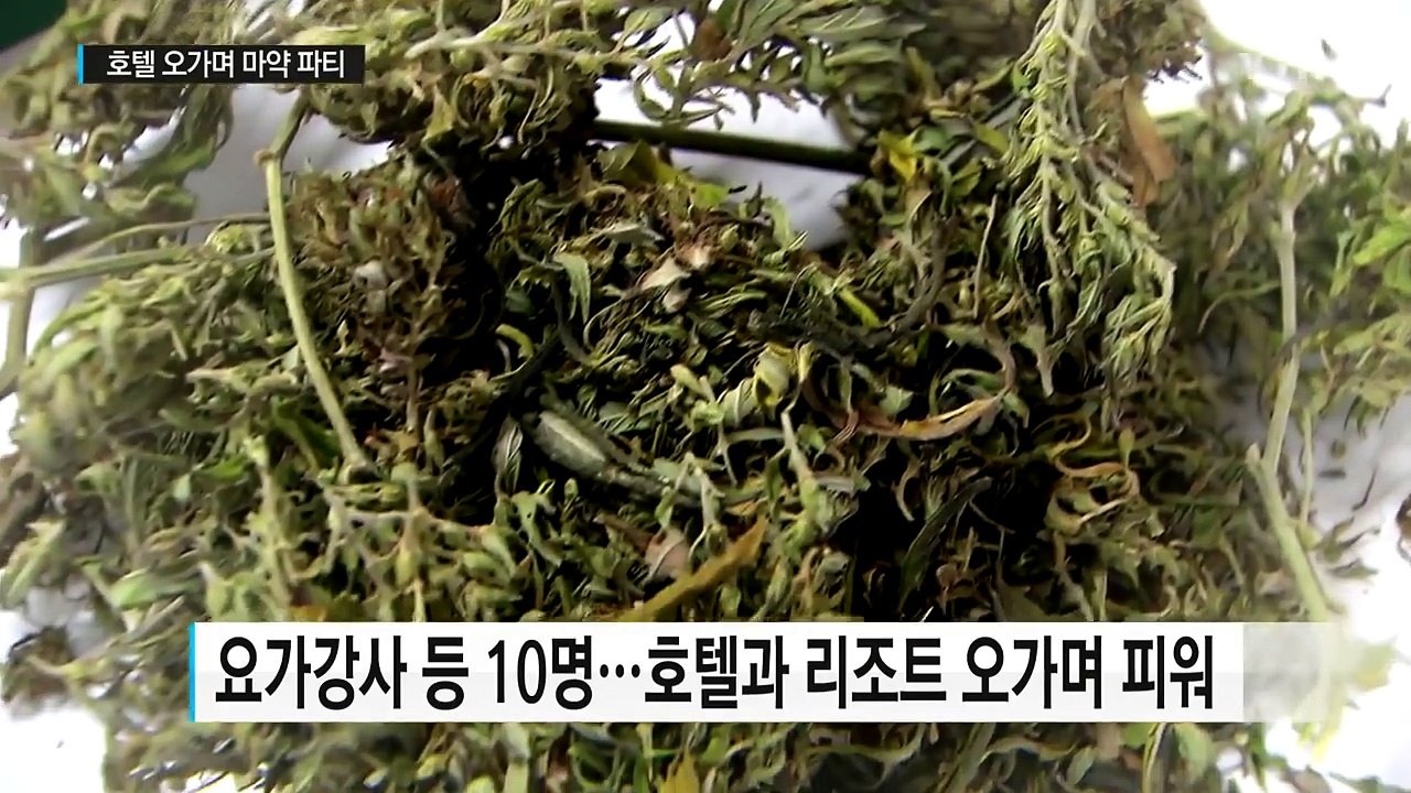 호텔 오가며 마약 파티...유학생·연예인 대거 적발 / YTN (Yes! Top News)