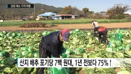 김장 채소 파동...생산자 ·소비자 모두 피해 / YTN (Yes! Top News)