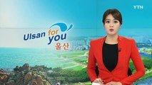 [울산] 울산 차바복구작업 본격화...복구비 천3백37억 확정 / YTN (Yes! Top News)