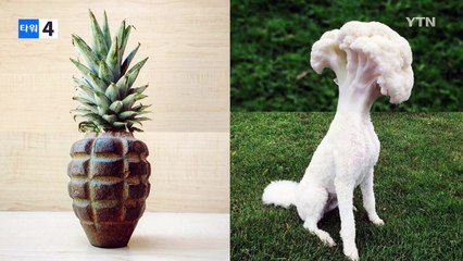 "집게발 포클레인?"...기발한 이미지 조합들 / YTN (Yes! Top News)