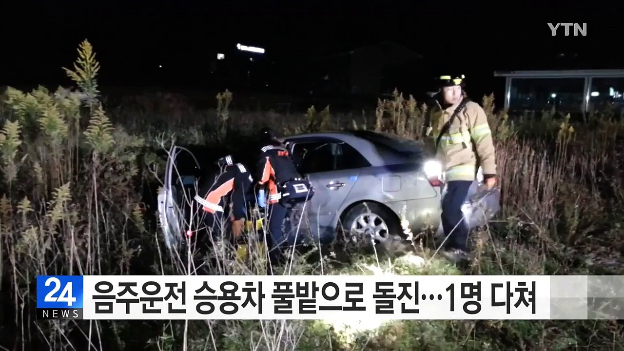 음주 추정 승용차 풀밭으로 돌진...1명 다쳐 / YTN (Yes! Top News)