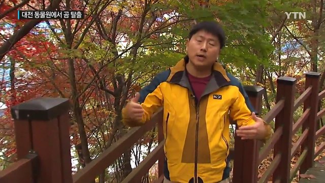 일주일 만에 또 곰 탈출...또 맹수 관리 구멍 / YTN (Yes! Top News)