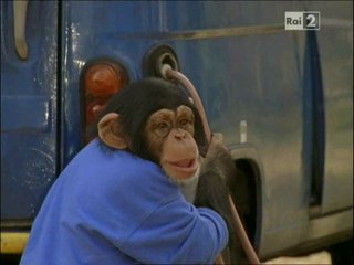 Il nostro amico Charly 9x03 - Arco e Napoleone