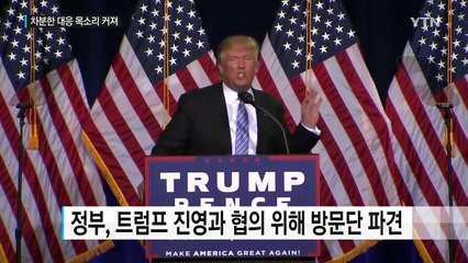 '트럼프 리스크', 차분한 대응 목소리 커져 / YTN (Yes! Top News)