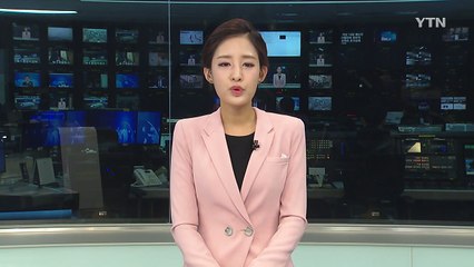 훼손된 로마 '코끼리' 복원 작업 시작 / YTN (Yes! Top News)