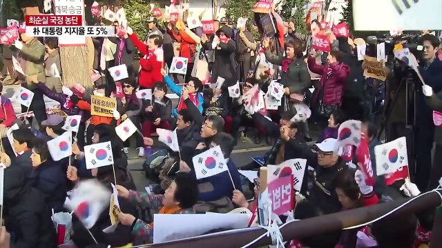 하야 반대 보수단체 맞불집회...충돌 우려 / YTN (Yes! Top News)