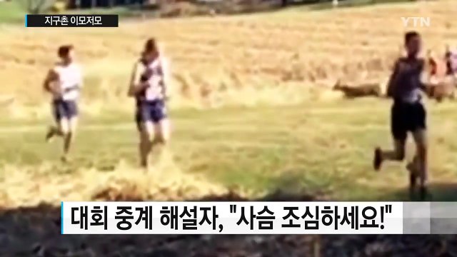 [영상] 떨어지는 11개월 동생 구한 9살 형 / YTN (Yes! Top News)
