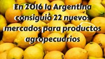 En 2016 la Argentina consiguió 22 nuevos mercados para productos agropecuarios
