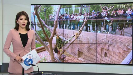 고부가가치 상품으로 유커 유치 / YTN (Yes! Top News)