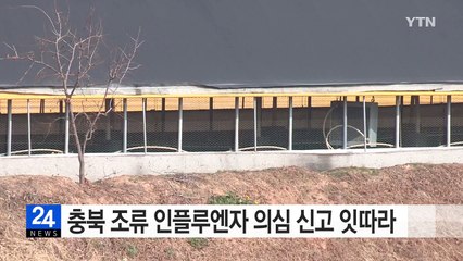 AI 확진판정에 이어 의심신고 잇따라 / YTN (Yes! Top News)