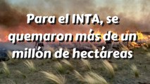 Para el INTA, se quemaron más de un millón de hectáreas