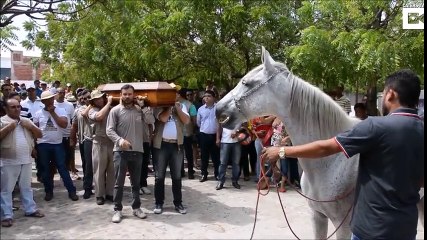 Heart Breaking Moment Horse Cries At Owners Funeral