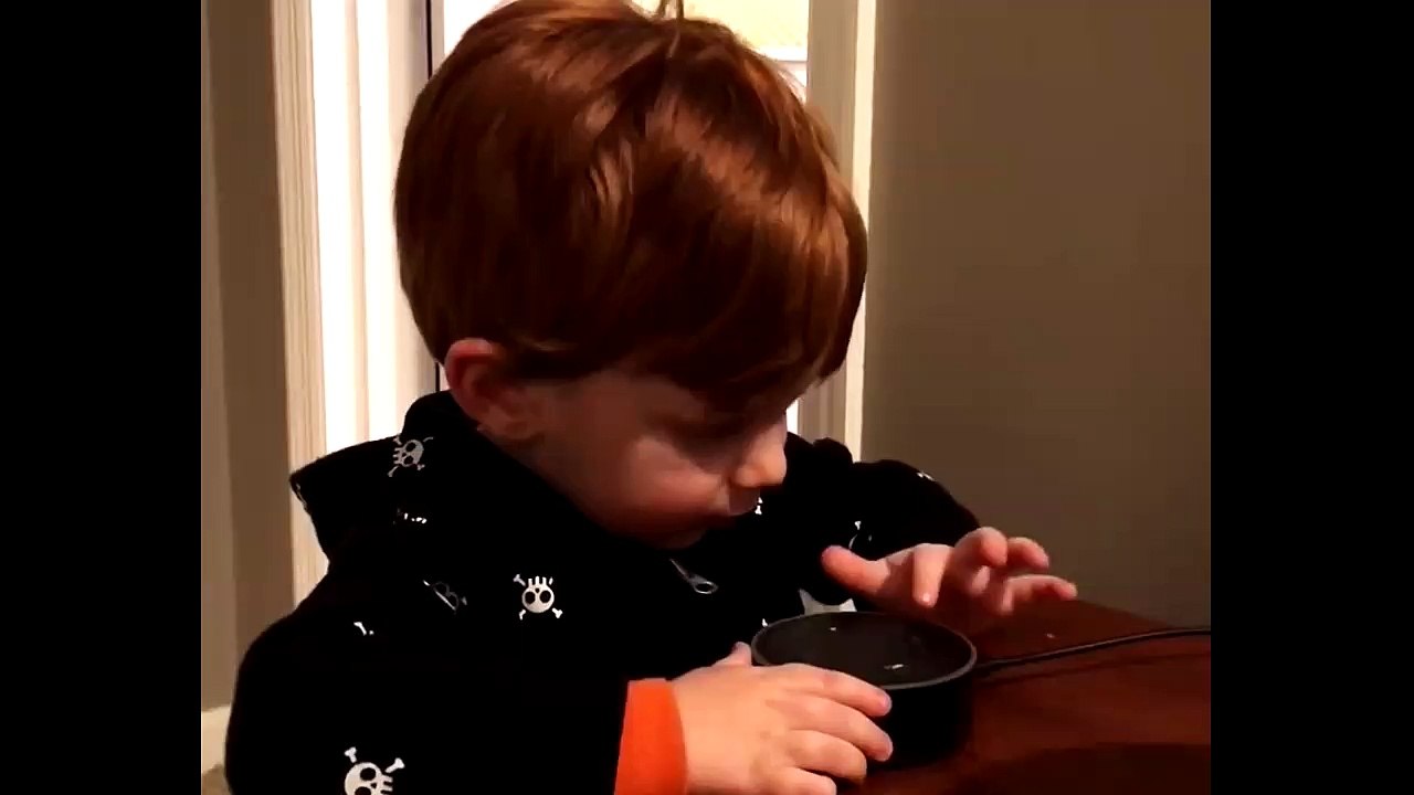 Amazon Alexa Gone Wild!