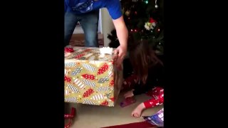 Cat surprises 3 year old girl for Christmas!