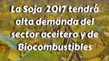 La Soja  2017 tendrá alta demanda del sector aceitero y de Biocombustibles