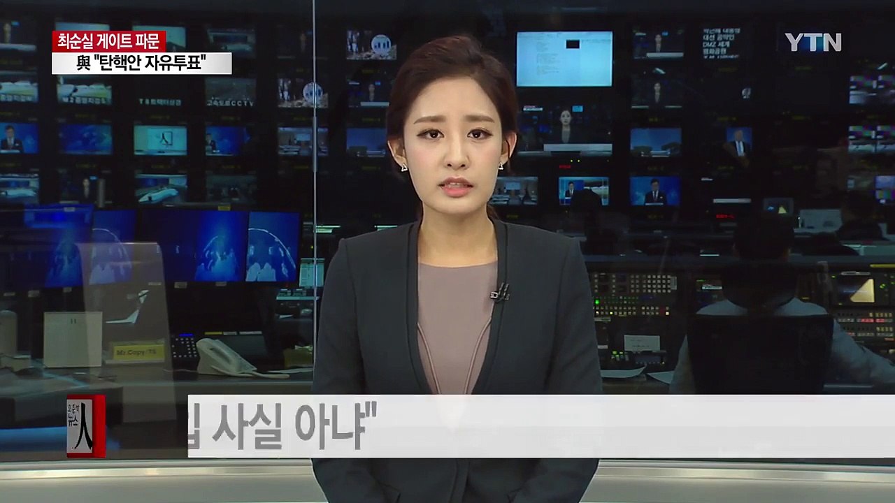 통일부 "DMZ 평화공원사업 최순실 개입 전혀 사실 아냐" / YTN (Yes! Top News)