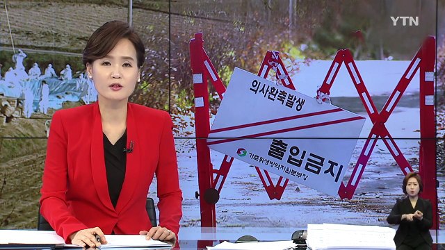 AI 확산 차단...주말 전국 '이동 중지' 명령 / YTN (Yes! Top News)