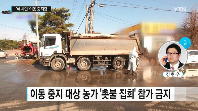 AI 확산 막아라 ...주말 전국 '이동 중지' 명령 / YTN (Yes! Top News)