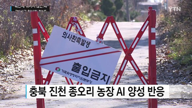 확산세 꺾이지 않는 AI... 보상금 현실화 절실 / YTN (Yes! Top News)