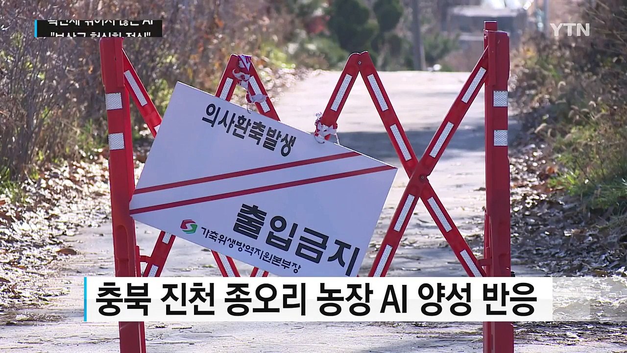 확산세 꺾이지 않는 AI..."보상금 현실화 절실" / YTN (Yes! Top News)