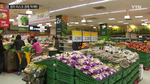 '시계 0 한국 정치' 내년 경제에도 직격탄 / YTN (Yes! Top News)