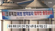 이동중지 명령에도 AI 의심 신고...불안감 확산 / YTN (Yes! Top News)