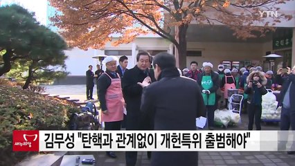 김무성 "탄핵과 관계없이 개헌특위 출범해야" / YTN (Yes! Top News)