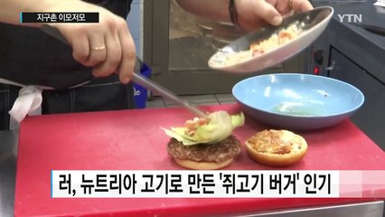 러시아에서 쥐고기 햄버거 인기 / YTN (Yes! Top News)