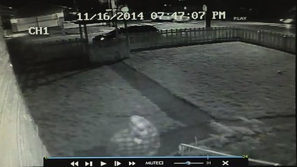 Mr. Wrong House -  Burglar meets Paratrooper  with Andrew Myers