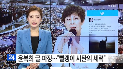 윤복희 SNS 글 파장..."빨갱이 날뛰는 사탄의 세력" / YTN (Yes! Top News)