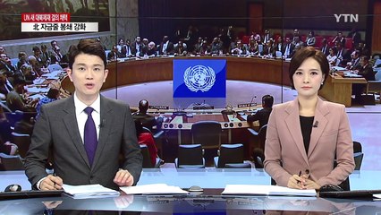 윤병세 "유엔 역사상 가장 강력한 비군사적 제재" / YTN (Yes! Top News)