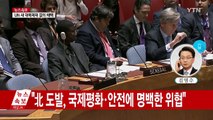 새 대북제재 결의 채택...北 자금줄 봉쇄 강화 / YTN (Yes! Top News)