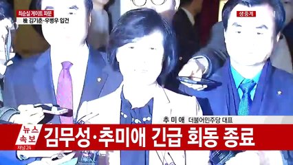 [영상] 김무성·추미애 긴급회동 "퇴임 시기 합의 못 봐" / YTN (Yes! Top News)