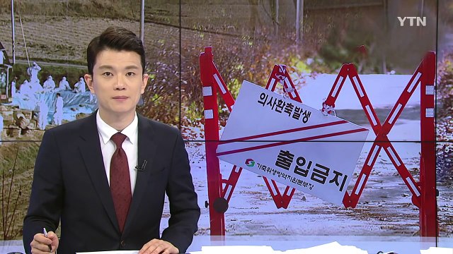 정부 초동 대처 미흡...AI 급속 확산 / YTN (Yes! Top News)