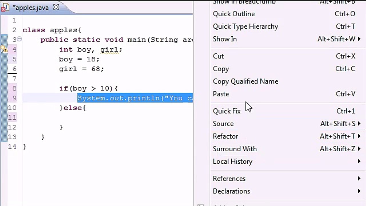 11 - Logical Operators Learn Best Basic Java