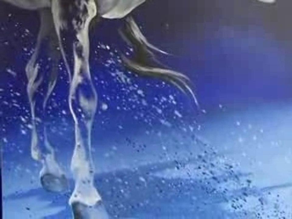 CHEVAUX