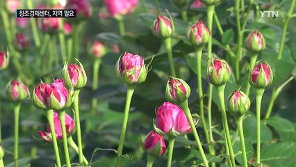 창조경제센터, 지역엔 필요하다 / YTN (Yes! Top News)