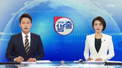 고가 색소폰 20억 어치 밀수한 탈북민 덜미 / YTN (Yes! Top News)