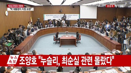 최순실 국정조사 청문회 ④-② / YTN (Yes! Top News)