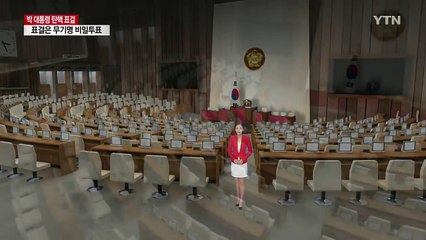 '운명의 1시간' 탄핵안 투표는 어떻게? / YTN (Yes! Top News)