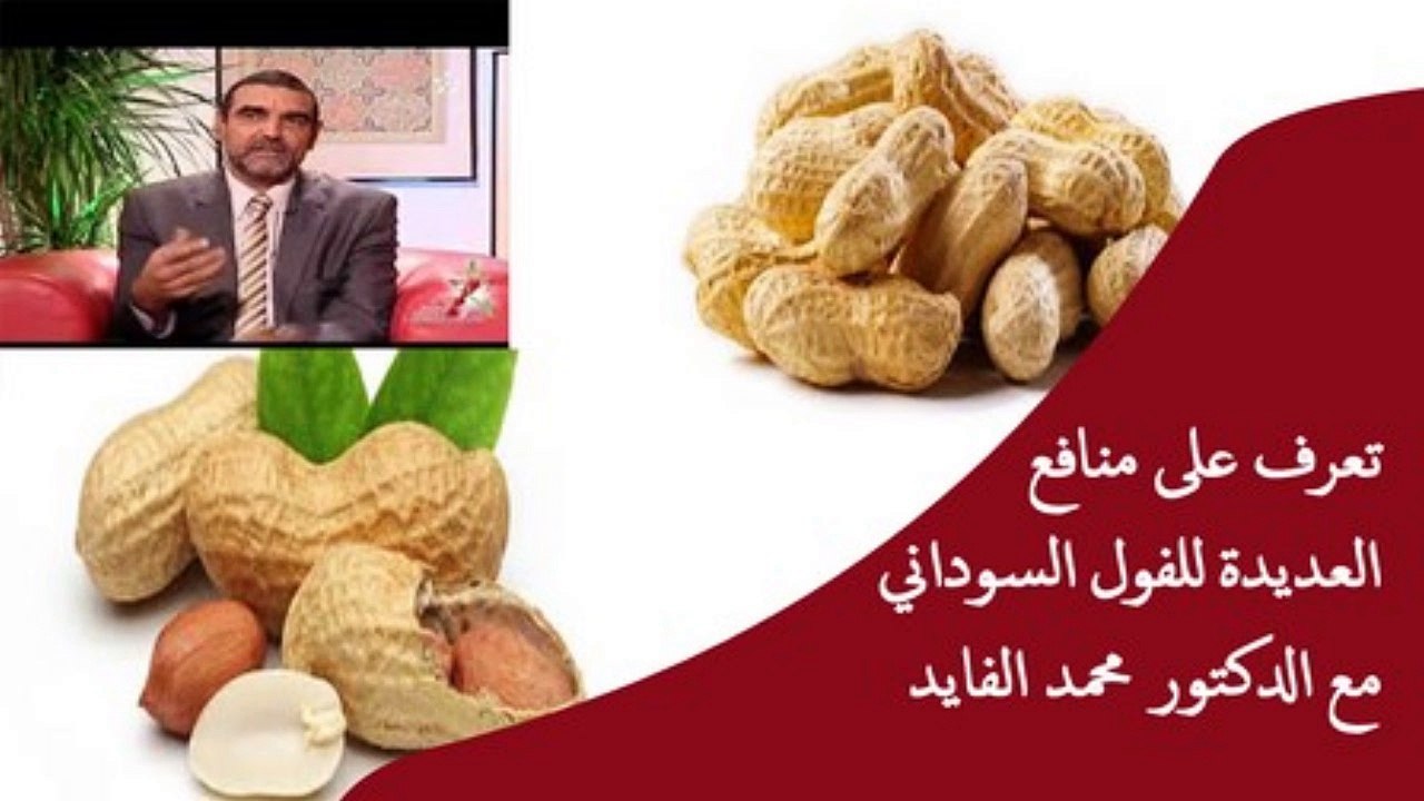 تعرف على منافع العديدة للفول السوداني الدكتور محمد الفايد