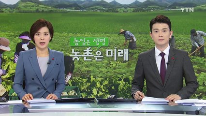 반려견도 집밥이 좋아 / YTN (Yes! Top News)