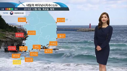 [내일의 바다날씨] 12월 9일 대부분 해상 풍랑 예비특보, 바다낚시 상황 좋지 않아  / YTN (Yes! Top News)