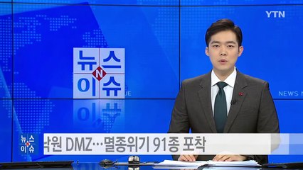 야생동물 낙원 DMZ...멸종위기 91종 포착 / YTN (Yes! Top News)