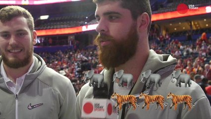 Who would win in a battle: an elephant or a tiger?