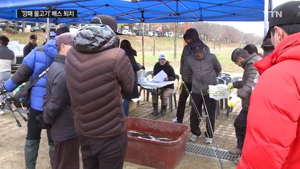 인공 산란장으로 '깡패 물고기' 배스 퇴치 / YTN (Yes! Top News)