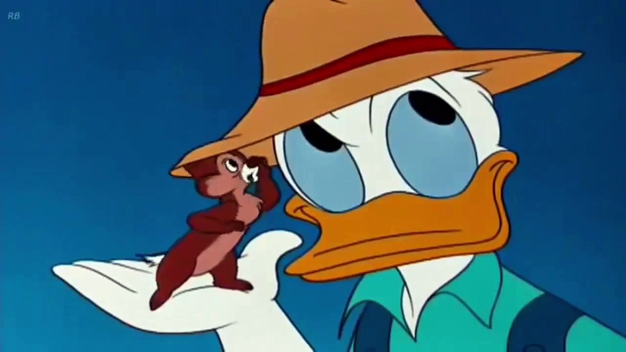 Donald Duck - Chip and Dale New Compilation 2016
